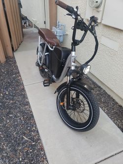 Radrunner Plus Electric Bike