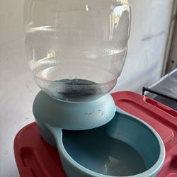 Dog Water Bowl 