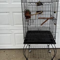 Medium Cage 