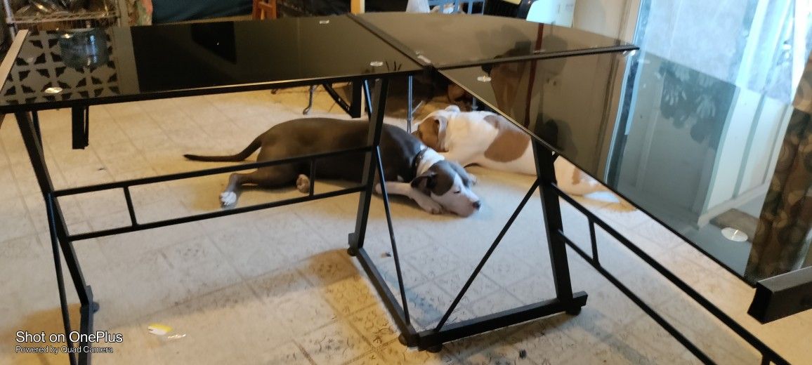 Glass Table 