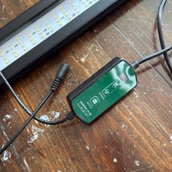 Aquarium Co-op Light