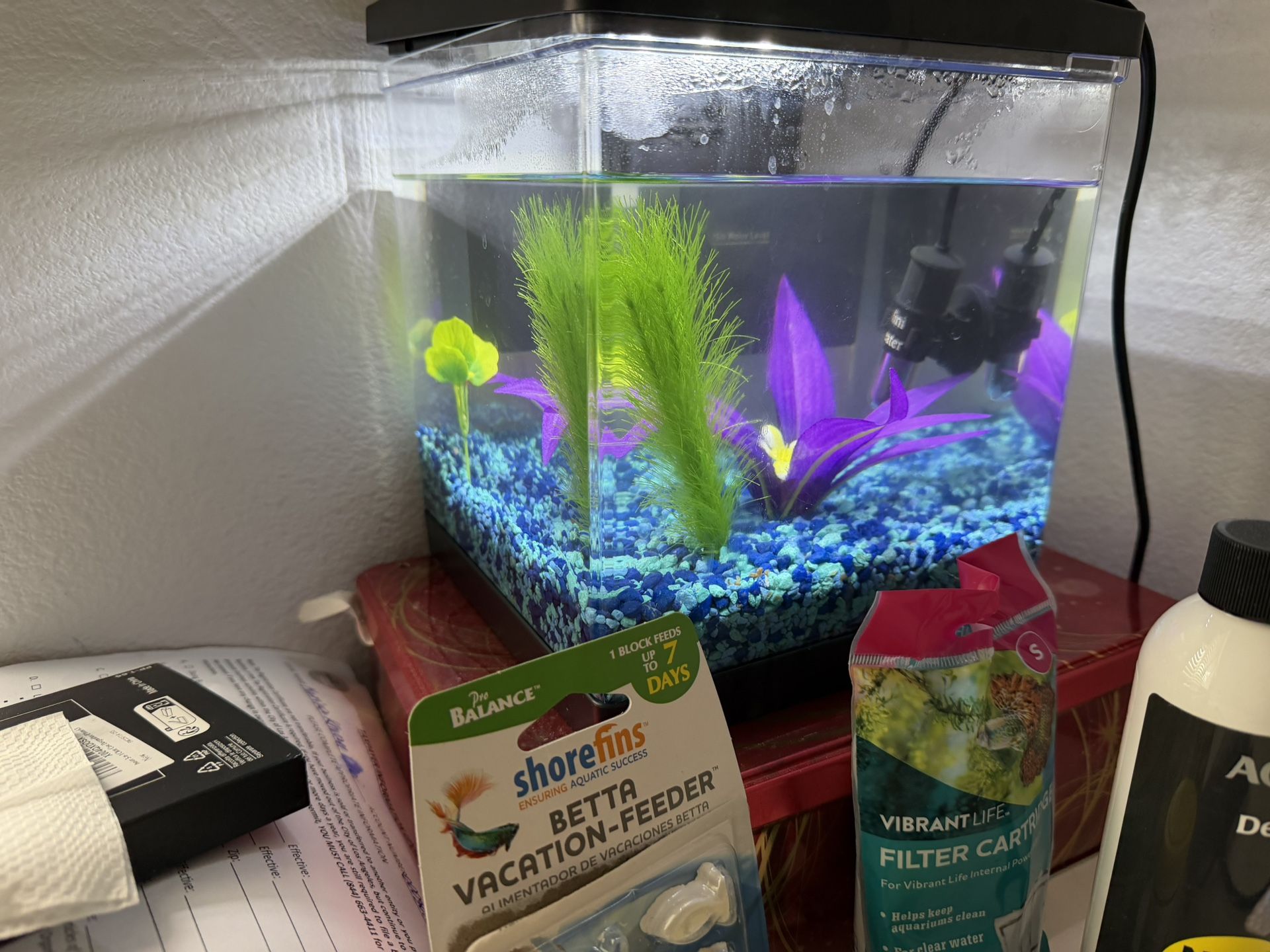 Betta Fish Tank With Food, Heater And More
