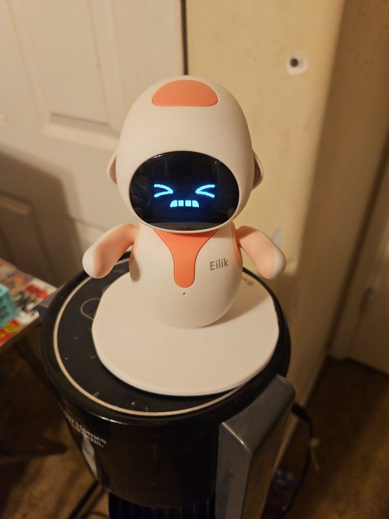 Companion Robot Friend