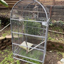 Bird Cage 