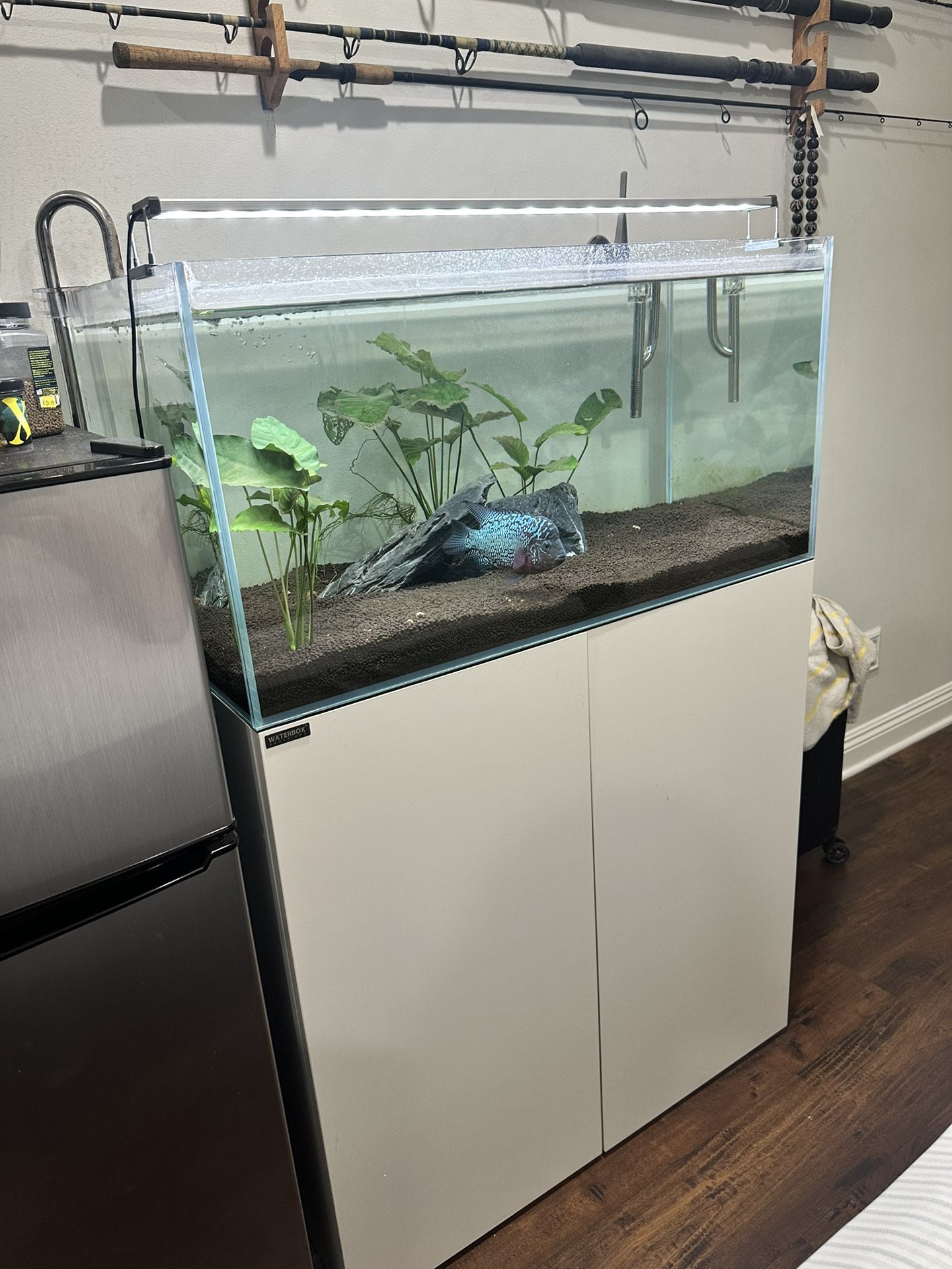 Fish Tank 50 Gallon 