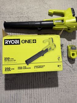 RYOBI Blower Kit 250 CFM 
