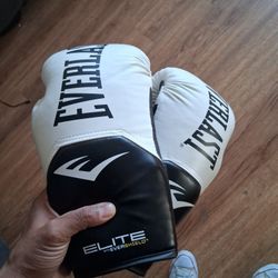 Everlast Boxing Gloves 