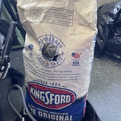 Kingsford 16lb Charcoal Briquettes 