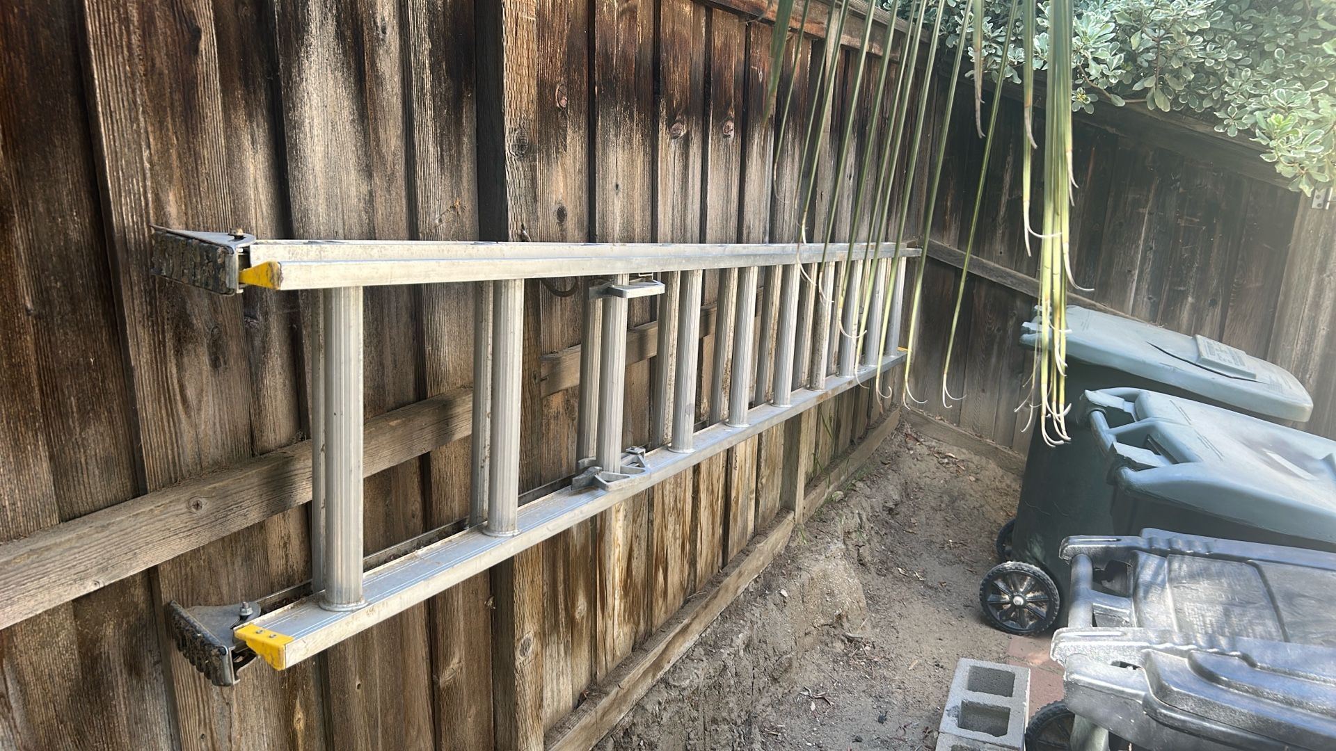 Extended Ladder