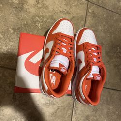 Nike Dunk Low Retro Cosmic Clay