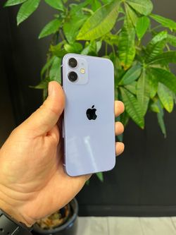 iPhone 12 - Unlocked - 256GB