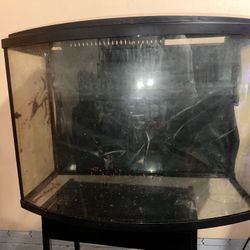 Fish Tank setup + Extras