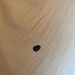 sir need your tool serviced ?