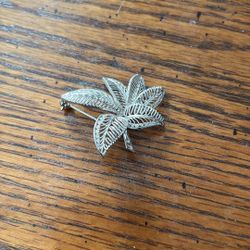 Vantage Brooch All Silver