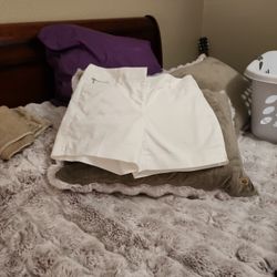 Women's White House Black Market Dress Shorts