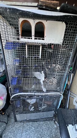 Cage