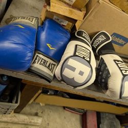 Punching Bag With 2- Pairs Of Gloves 