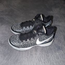 Nike Zoom Lebron Nxxt Gen Size 9 Shoes