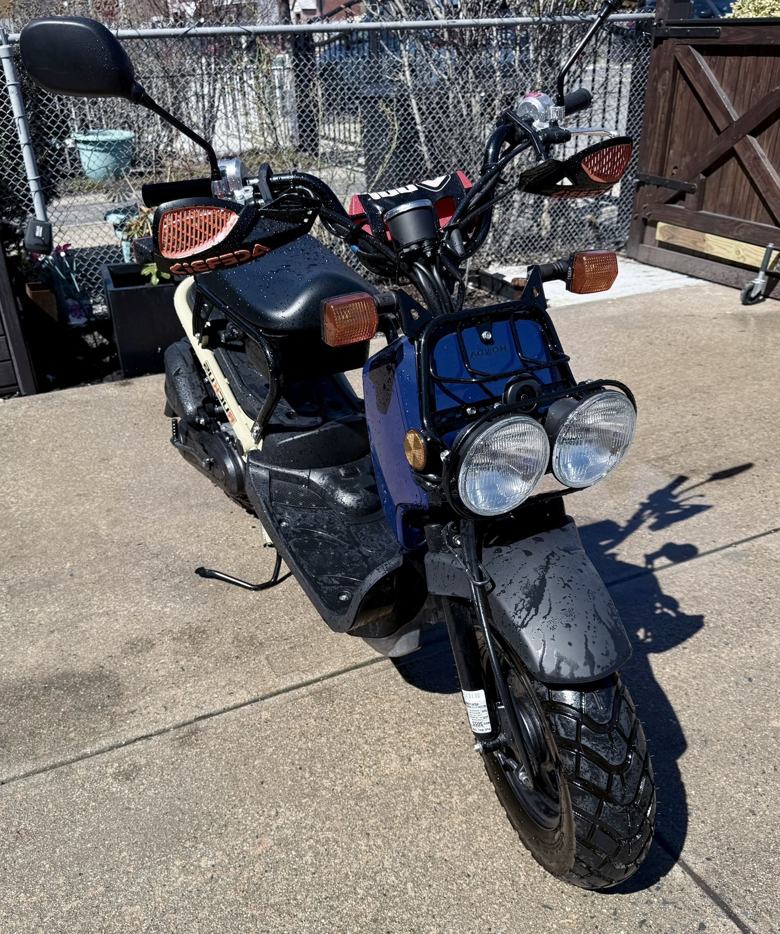 2022 Honda Ruckus