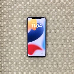 Apple iPhone X Unlocked 