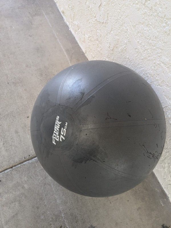 Exercise Ball 