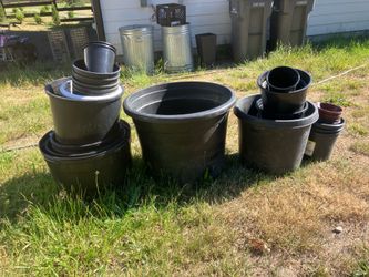 Pant Pots