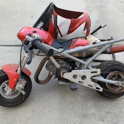100 pocket bike sales