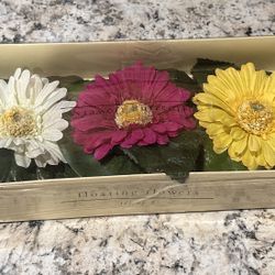 Pier 1 Set of 3 Floating Flowers NIB