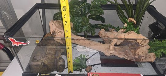 Full Gecko Enclosure Kit