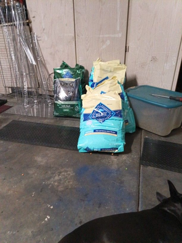 Blue Dog Food