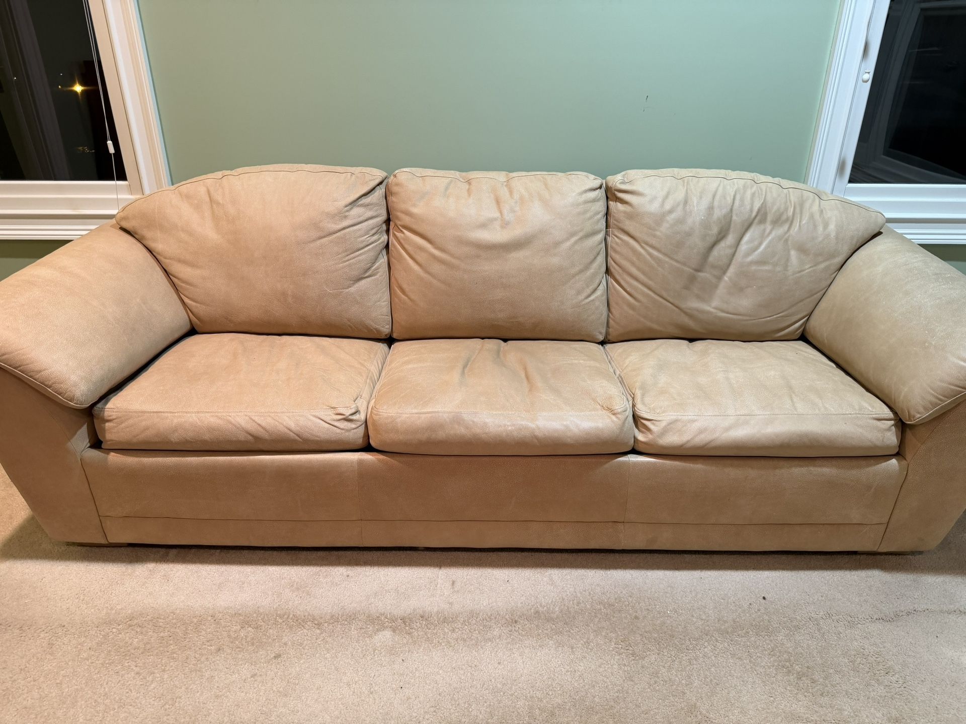 Free Leather Sleeper Sofa