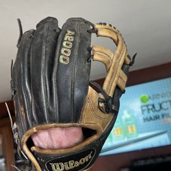Wilson A2000 Baseball Mitt Glove MLB Pro Glove 