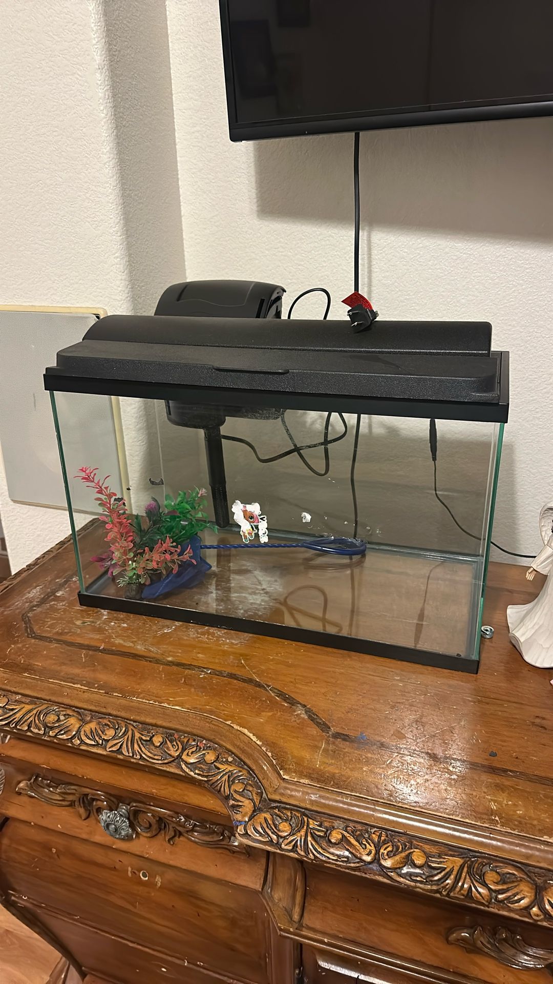 fish tank