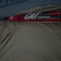 Cat Composite Bat!