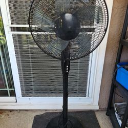 Fan