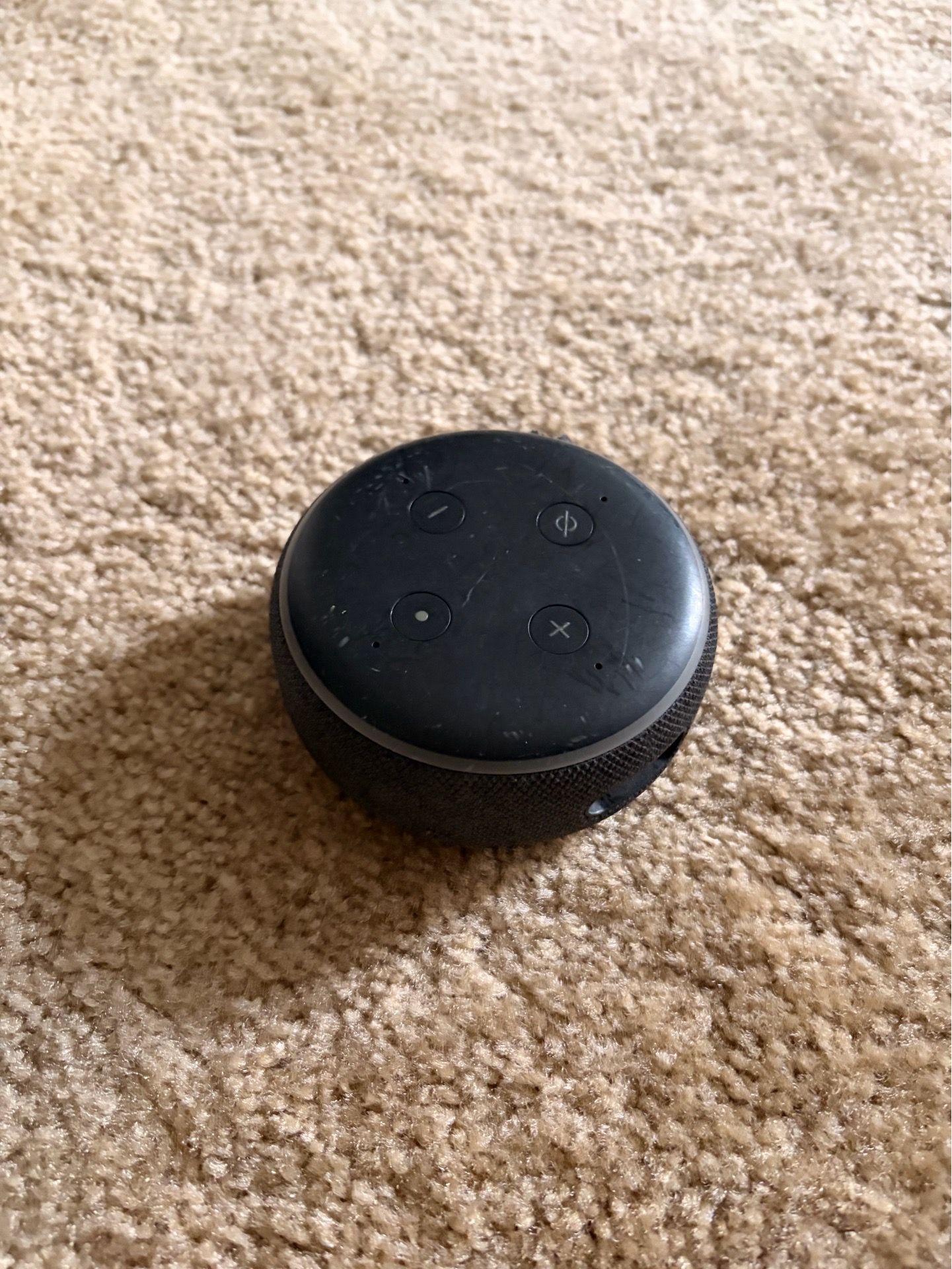 Alexa