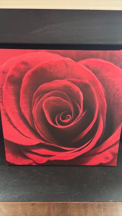 30” x 30”Red Rosebud Painting 🖼️ wall decor red rose