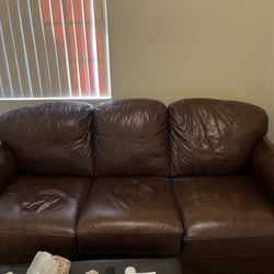 Leather Sofa Sleeper