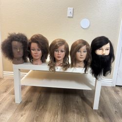 Cosmetology mannequin heads