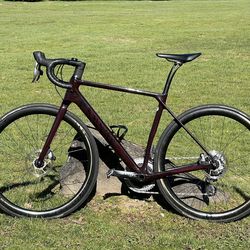 Canyon Endurance CF SLX 8 - SRAM Force AXS (powermeter)