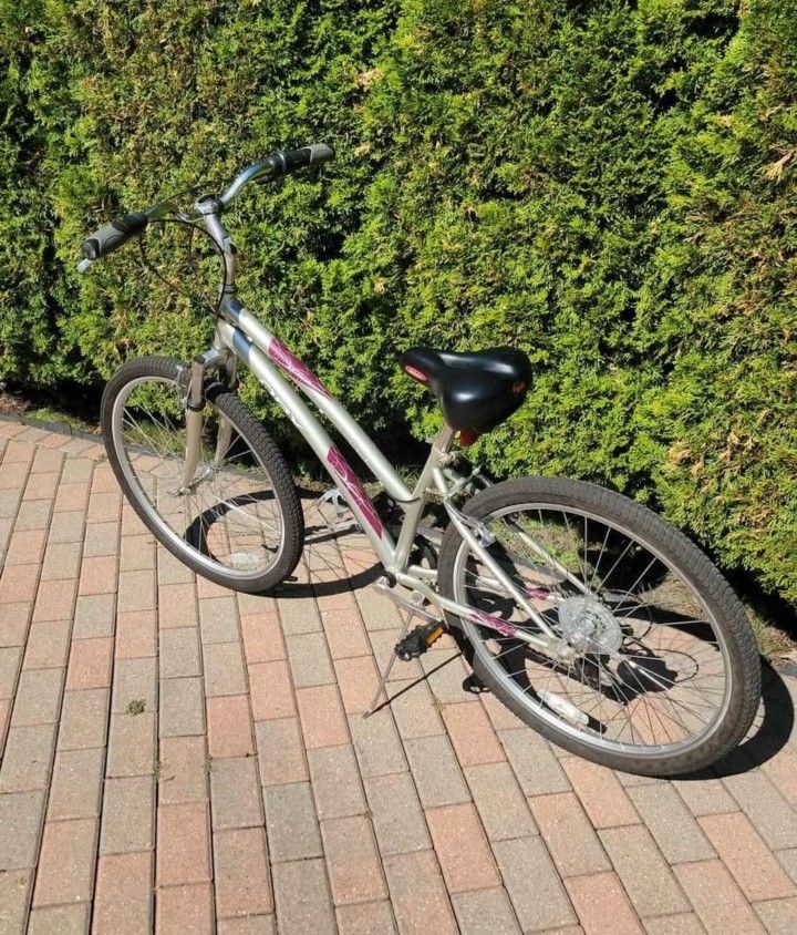 Crestwood DBX Women's Mountain Bike. Gear Changer Is Broke So Only Low Gear Is Working