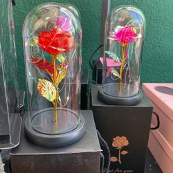 Galaxy Rose