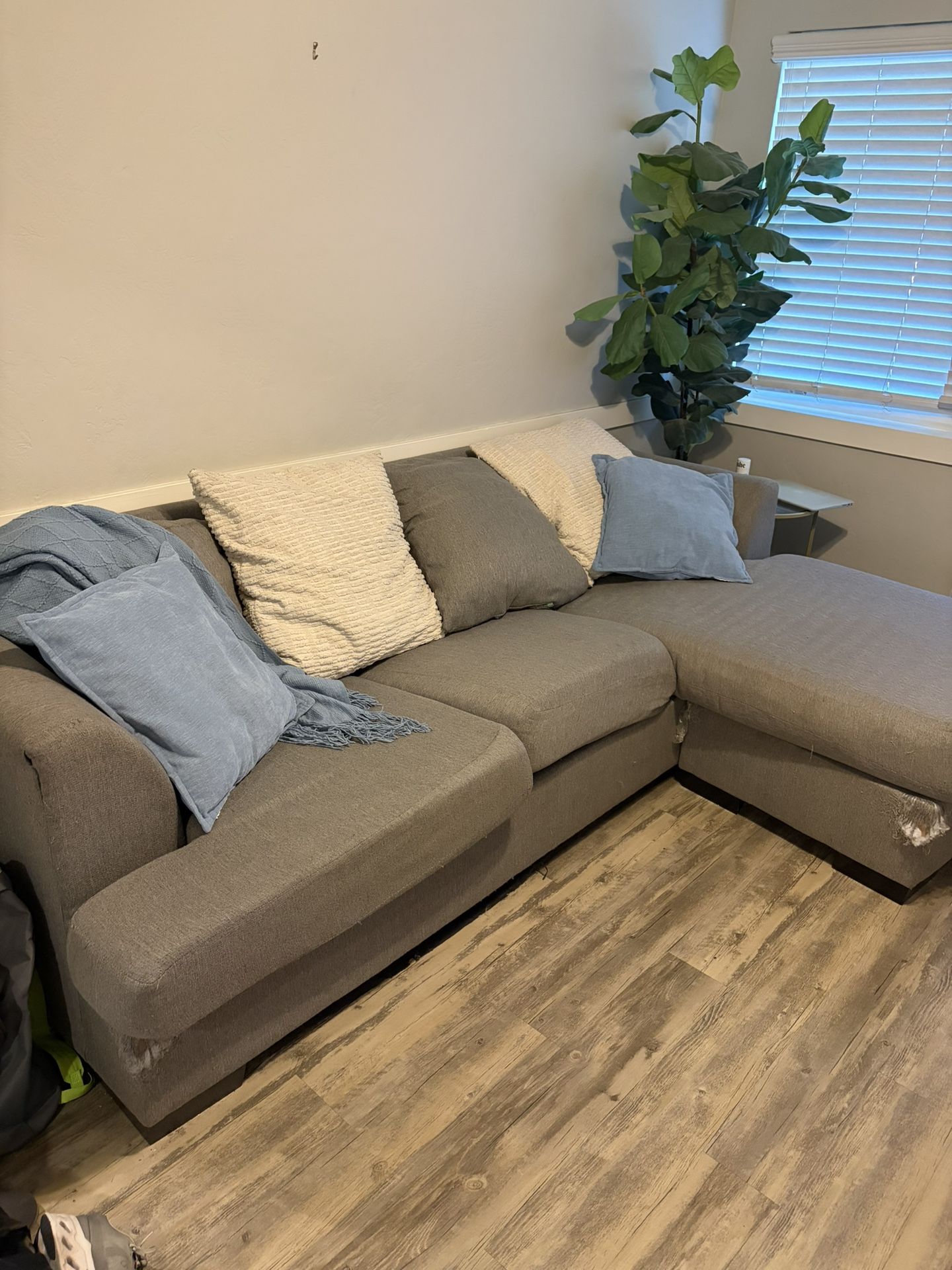 Free Couch-NEED GONE ASAP