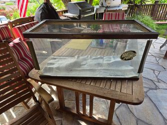 Free Reptile Terrarium Bearded Dragon