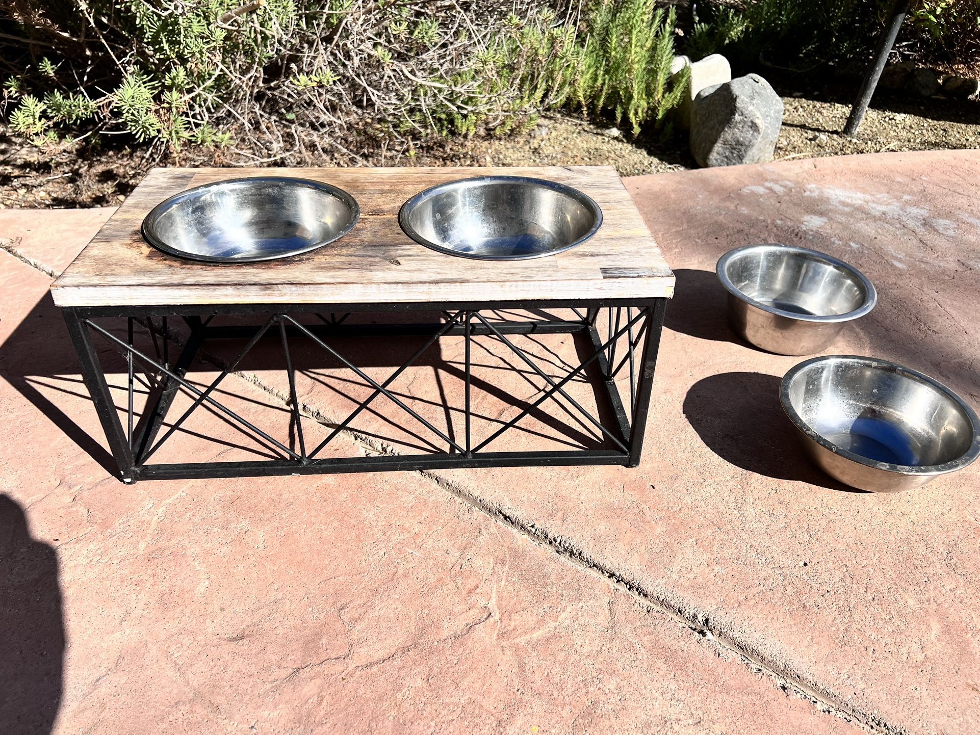 Raised Dog Food Water Bowls + 2 Extra Bowls