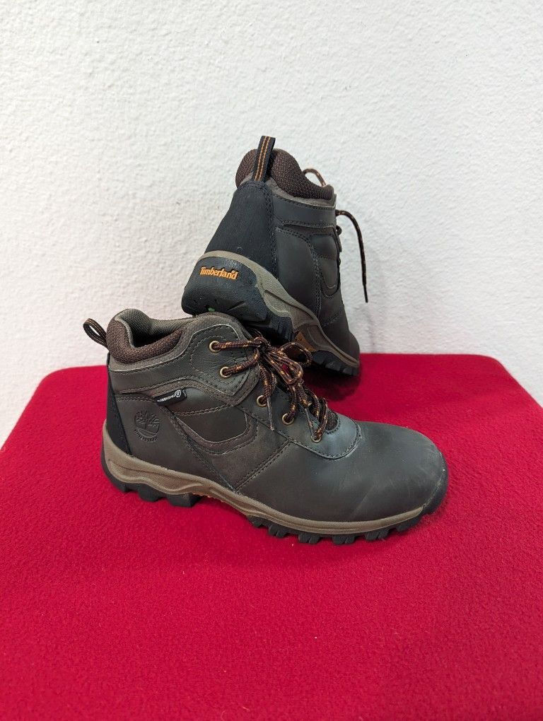 Timberland Mt. Maddsen Outdoor Hiking Waterproof Boots Brown Leather Youth Boys 4.5