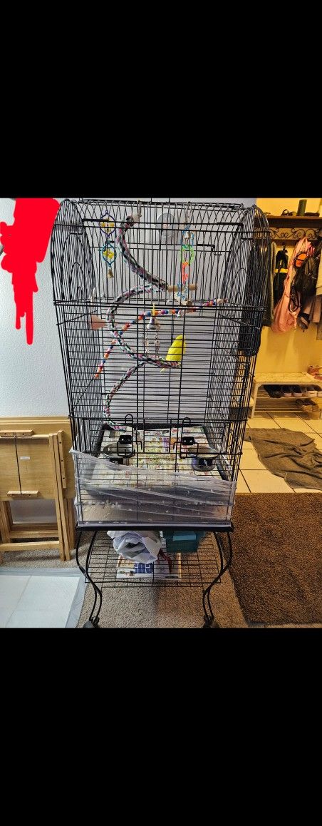 Parrot Cage On Wheels With Parket Sunni  Girl The Top Opens Extra Opening Beside Big Door