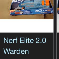 Play Nerf Gun With 16 Extra Billets 