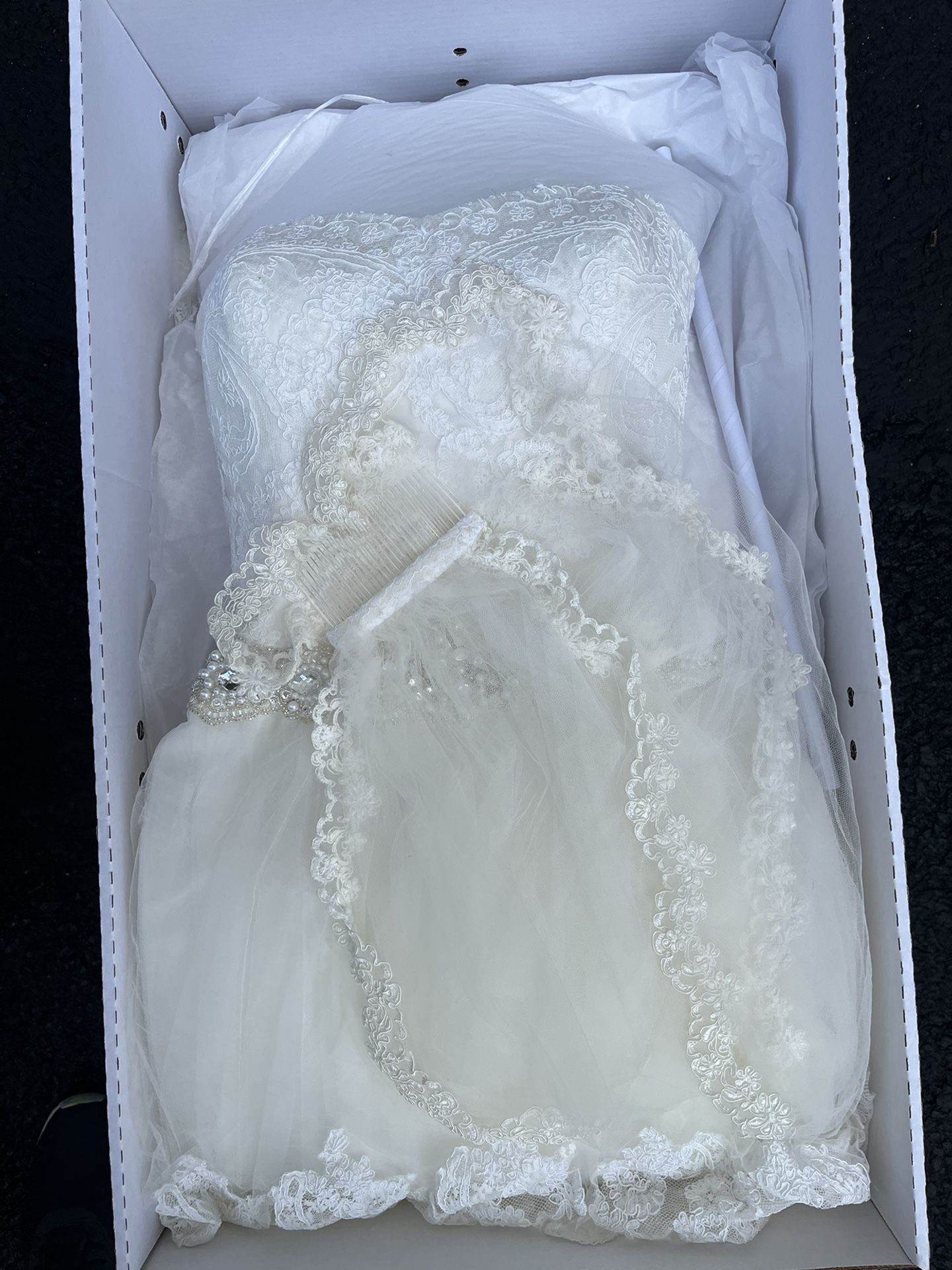 Wedding Gown 