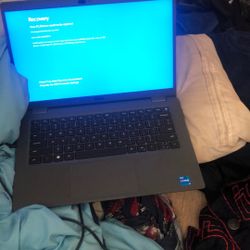 Dell Laptop Touchscreen 